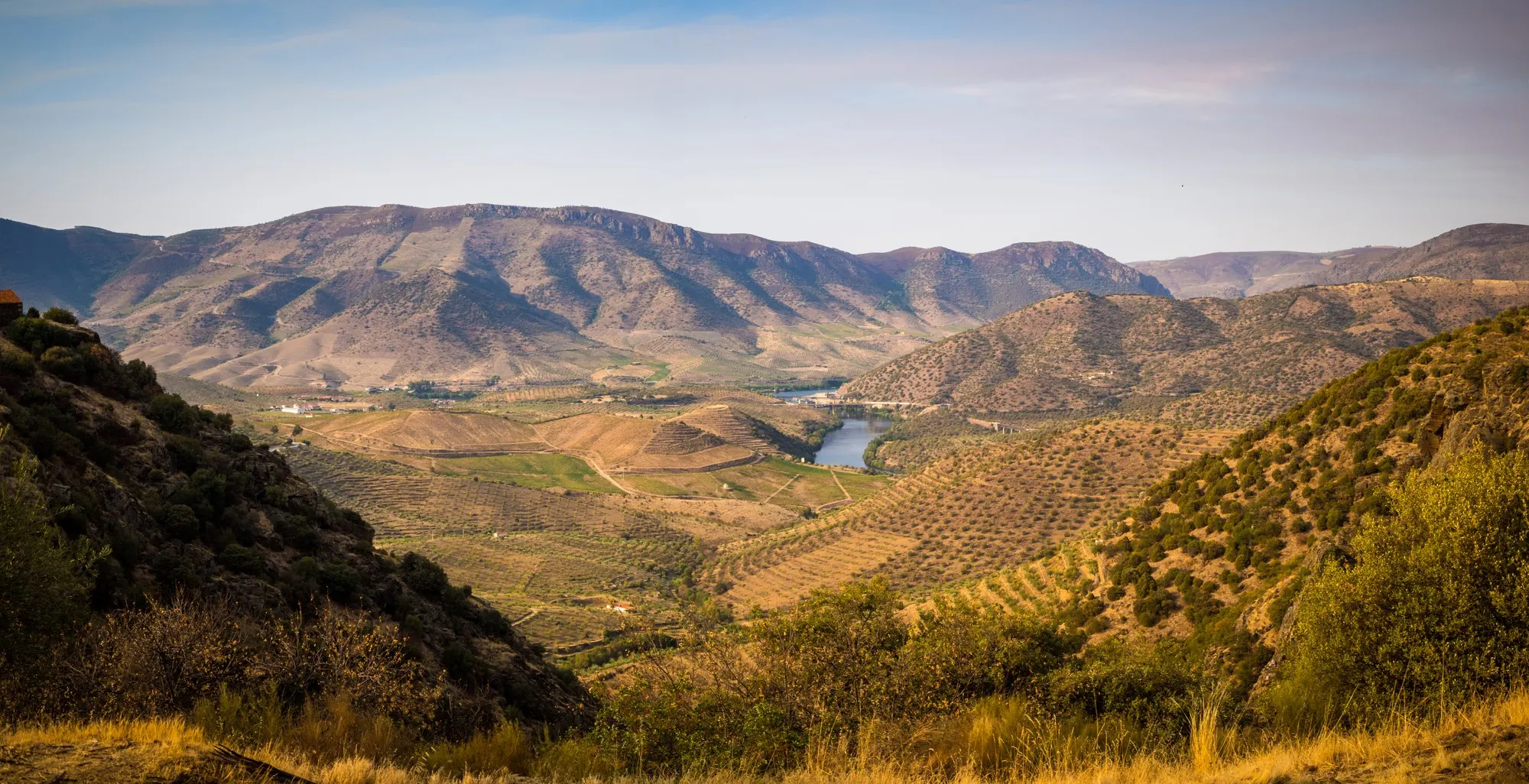 Barossa Valley Vineyards